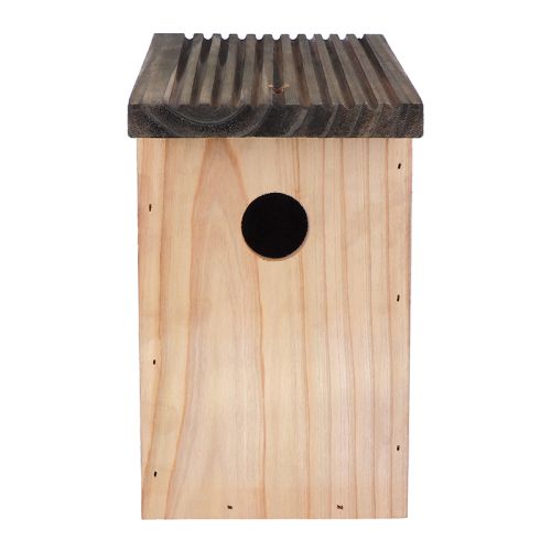 Eco fuglehus i træ - Billede 3